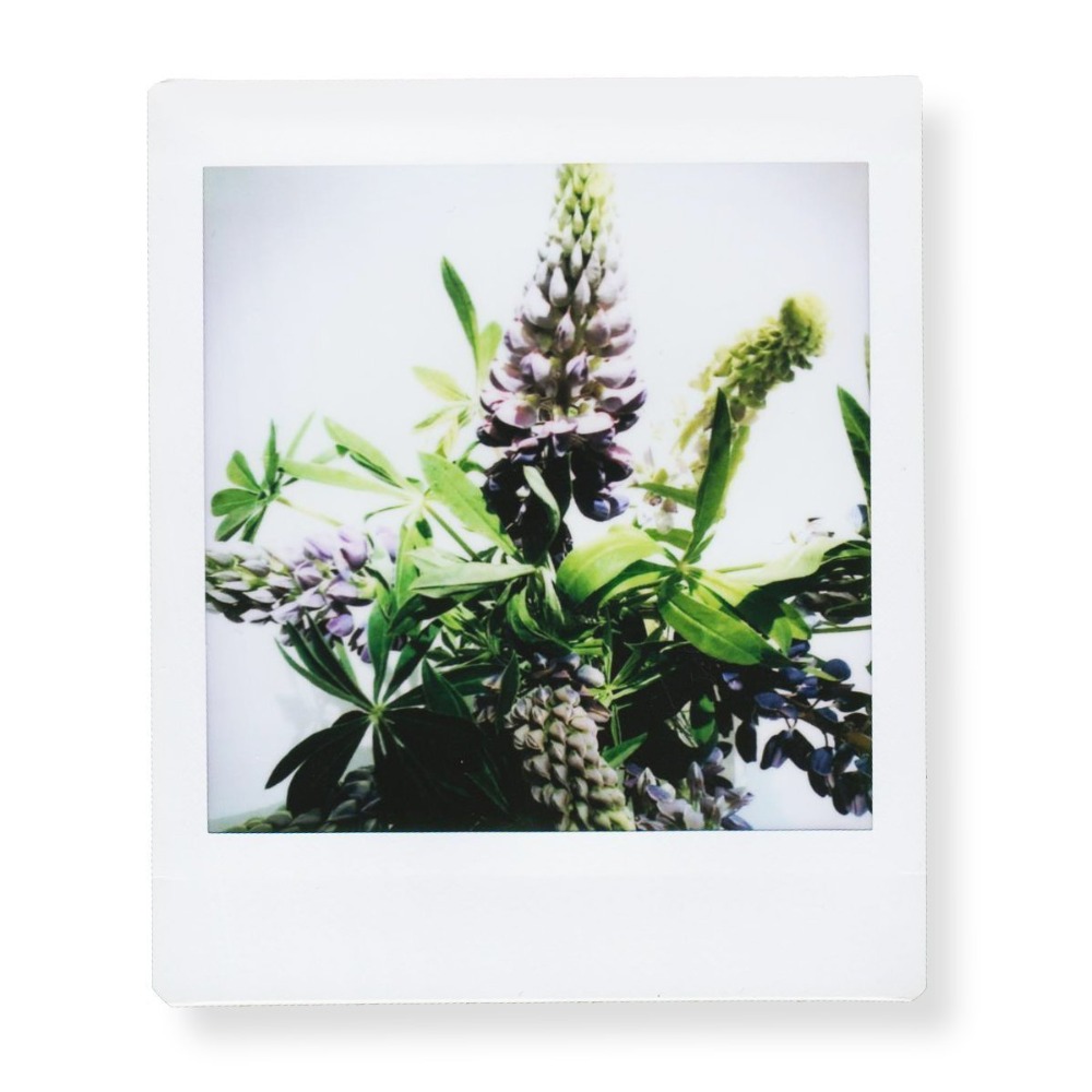Fujifilm Instax Square Film Wh – Photography Cheat Sheet recenzja i cena