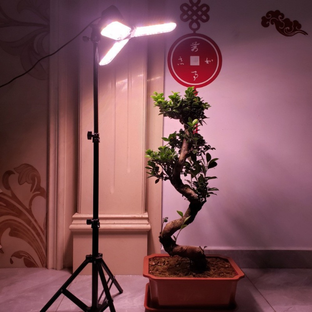 Stojak na żarówki 2M, gniazdo  – Photography Umbrella recenzja i cena